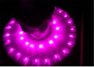 Poudre phosphorescente enduite de colorant, lueur dans la violette foncée de colorant