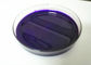 Certification violette de COA TDS de GV MSDS de force de couleur vive de pâte de colorant de l'unité centrale 5v fournisseur